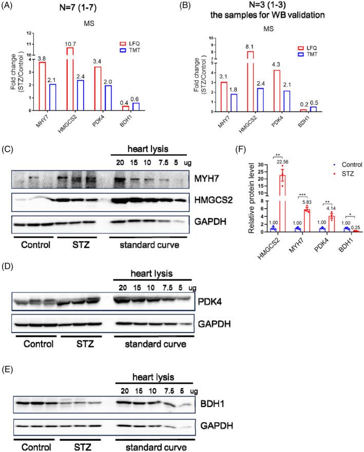 https://cdn.ncbi.nlm.nih.gov/pmc/blobs/0131/11561303/1f1332c5dd16/JDB-16-e70033-g002.jpg