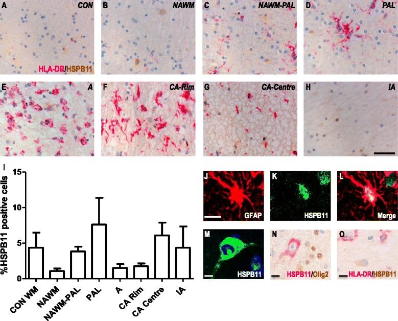 https://cdn.ncbi.nlm.nih.gov/pmc/blobs/0133/4688967/3472f52019d3/40478_2015_267_Fig5_HTML.jpg