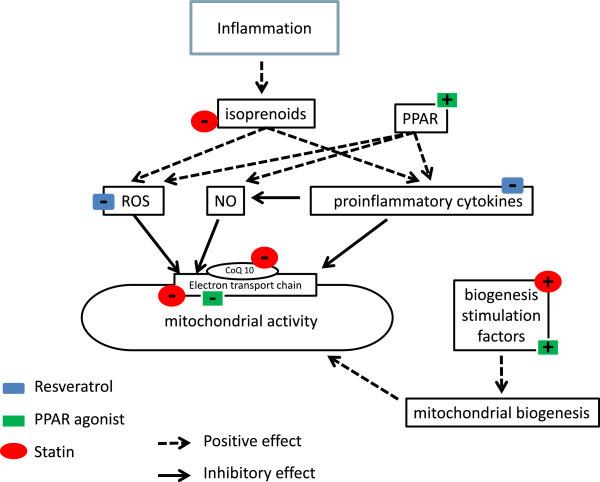https://cdn.ncbi.nlm.nih.gov/pmc/blobs/0134/4512973/1be3dfe7b713/40635_2013_10_Fig1_HTML.jpg