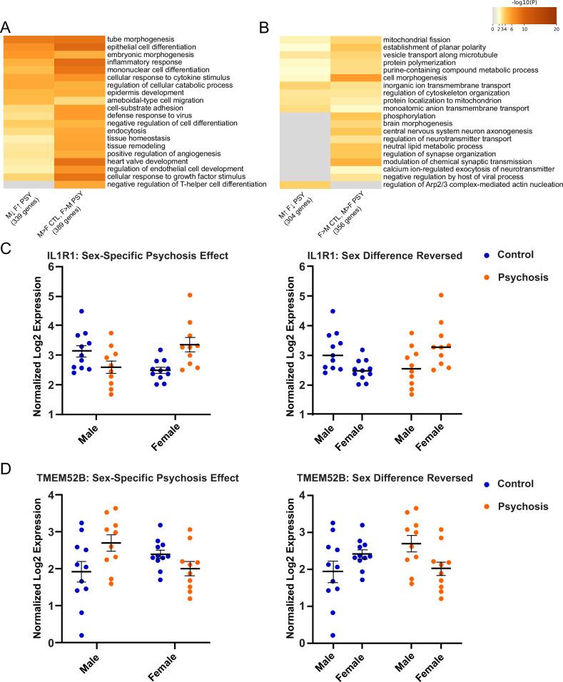 https://cdn.ncbi.nlm.nih.gov/pmc/blobs/013a/12141710/aa6265986f61/41398_2025_3395_Fig5_HTML.jpg