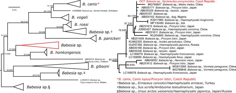 https://cdn.ncbi.nlm.nih.gov/pmc/blobs/013f/10324142/90b9664855fe/13071_2023_5834_Fig1_HTML.jpg