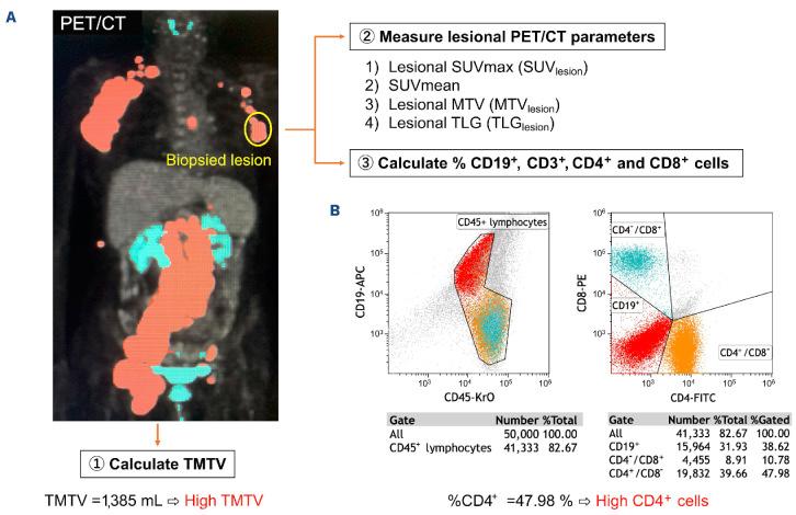 https://cdn.ncbi.nlm.nih.gov/pmc/blobs/013f/11367203/e836379a7fb9/1092822.fig1.jpg
