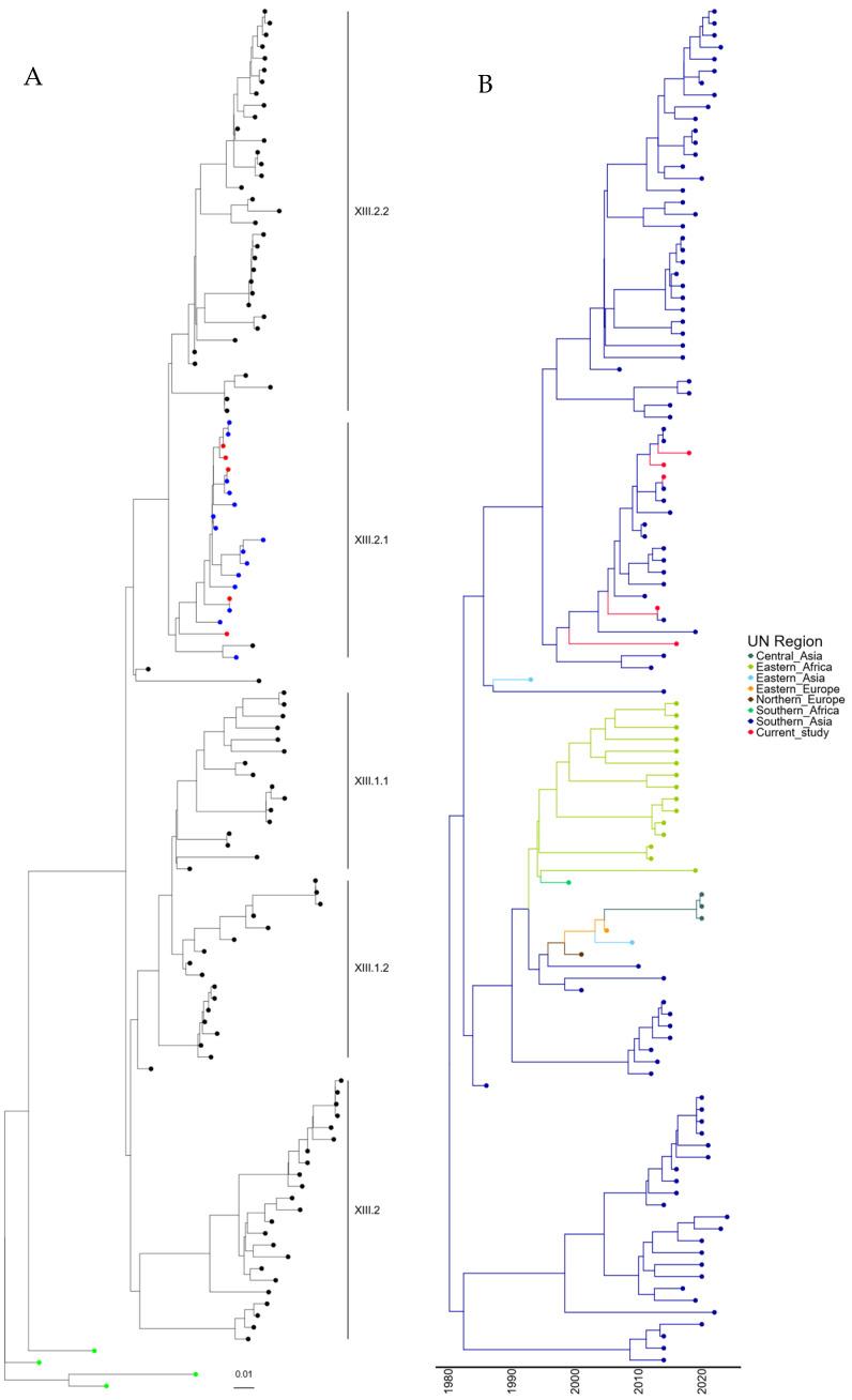 https://cdn.ncbi.nlm.nih.gov/pmc/blobs/0141/11437410/37ff8d9d7458/viruses-16-01414-g003.jpg