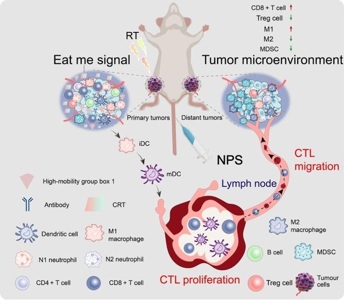 https://cdn.ncbi.nlm.nih.gov/pmc/blobs/0142/11373306/8e1d1869ed16/40364_2024_628_Fig4_HTML.jpg