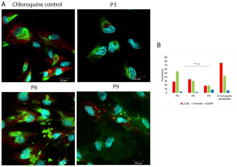 https://cdn.ncbi.nlm.nih.gov/pmc/blobs/0144/10743411/c6115d6d7d33/ijms-24-17249-g008.jpg
