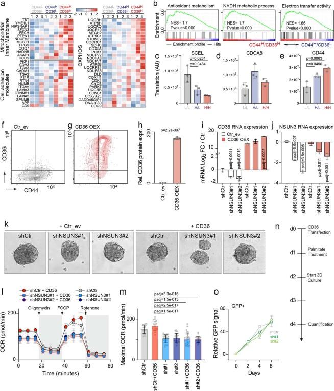 https://cdn.ncbi.nlm.nih.gov/pmc/blobs/0145/9300468/43431f4ed554/41586_2022_4898_Fig16_ESM.jpg