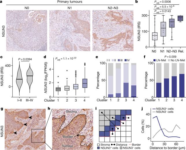 https://cdn.ncbi.nlm.nih.gov/pmc/blobs/0145/9300468/60f49b105818/41586_2022_4898_Fig6_HTML.jpg