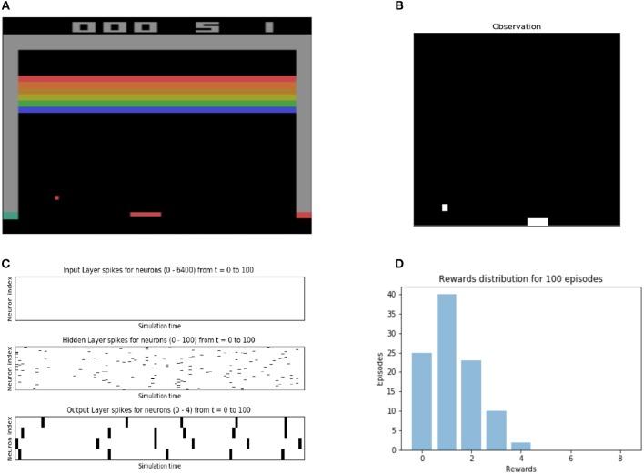 https://cdn.ncbi.nlm.nih.gov/pmc/blobs/0147/6315182/613638525838/fninf-12-00089-g0008.jpg