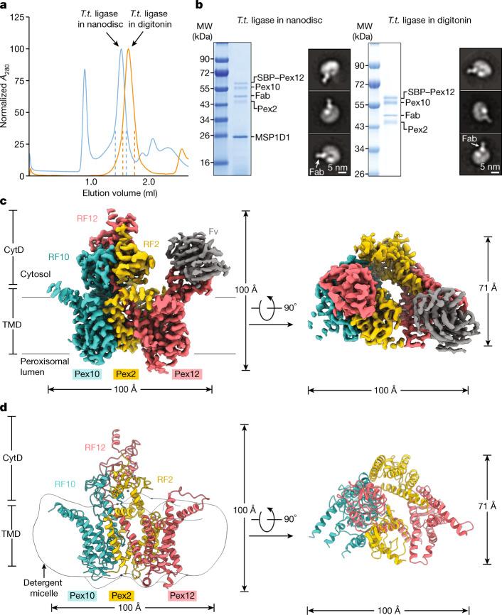 https://cdn.ncbi.nlm.nih.gov/pmc/blobs/0148/9279156/d24decde6109/41586_2022_4903_Fig1_HTML.jpg