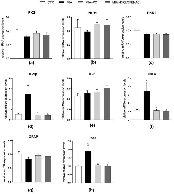 https://cdn.ncbi.nlm.nih.gov/pmc/blobs/014a/10526764/49d980f8f4a4/cells-12-02255-g008.jpg