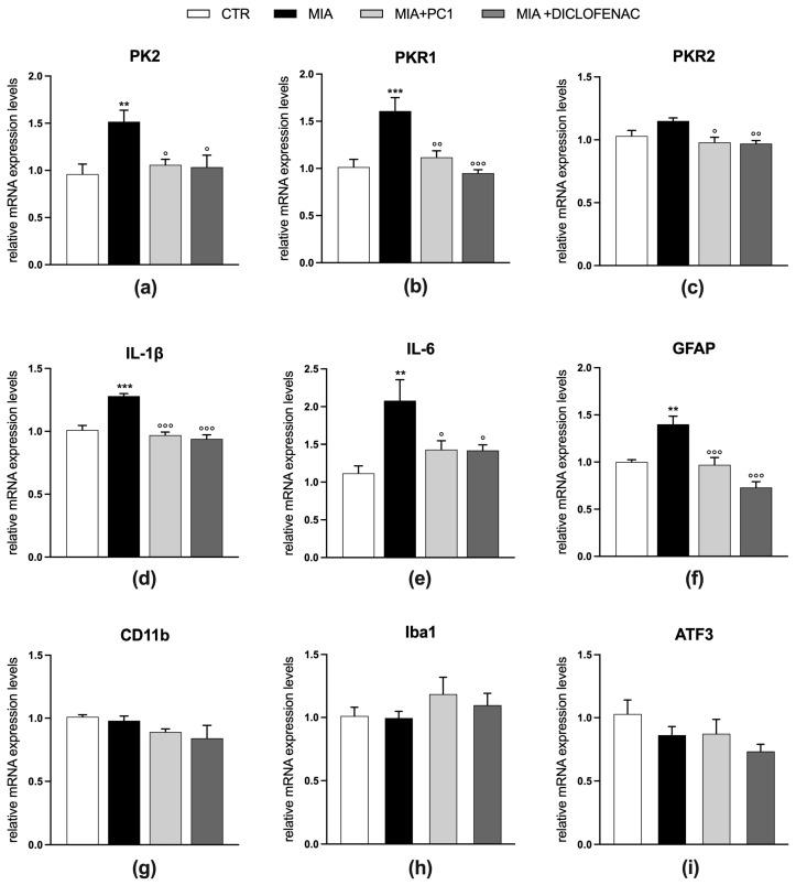 https://cdn.ncbi.nlm.nih.gov/pmc/blobs/014a/10526764/50ec60e76e02/cells-12-02255-g005.jpg