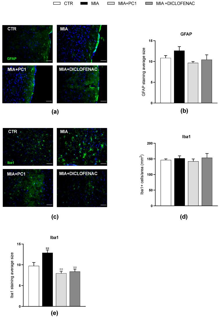 https://cdn.ncbi.nlm.nih.gov/pmc/blobs/014a/10526764/58914d0644ef/cells-12-02255-g009.jpg