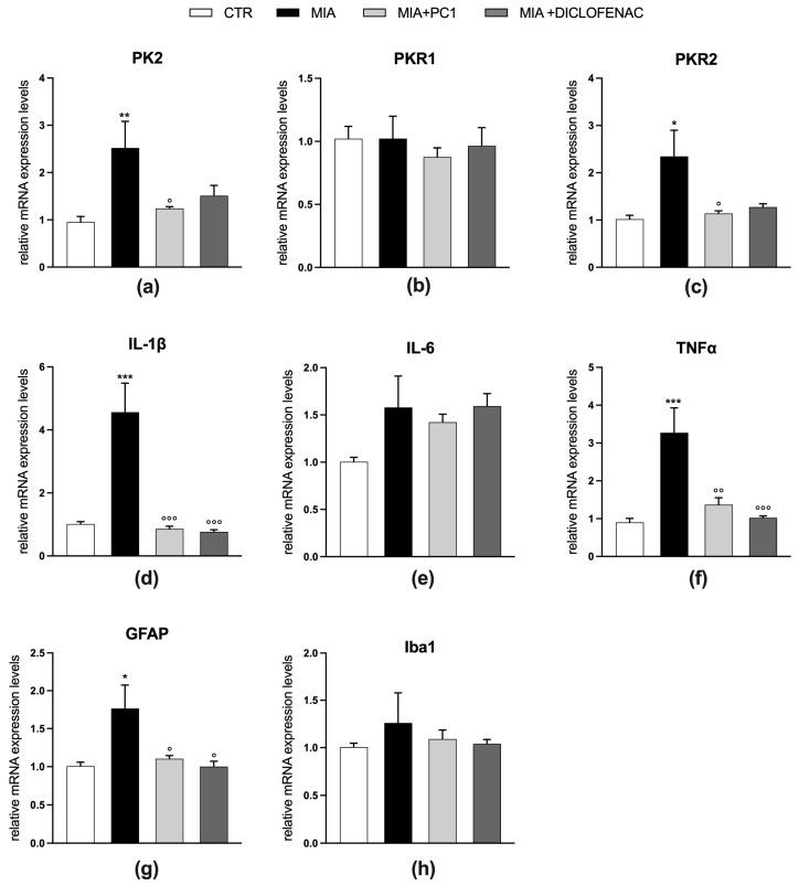 https://cdn.ncbi.nlm.nih.gov/pmc/blobs/014a/10526764/821a851148e1/cells-12-02255-g006.jpg