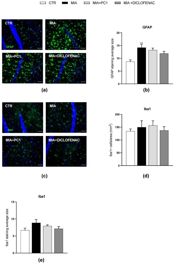 https://cdn.ncbi.nlm.nih.gov/pmc/blobs/014a/10526764/b7375f0f1c4b/cells-12-02255-g007.jpg