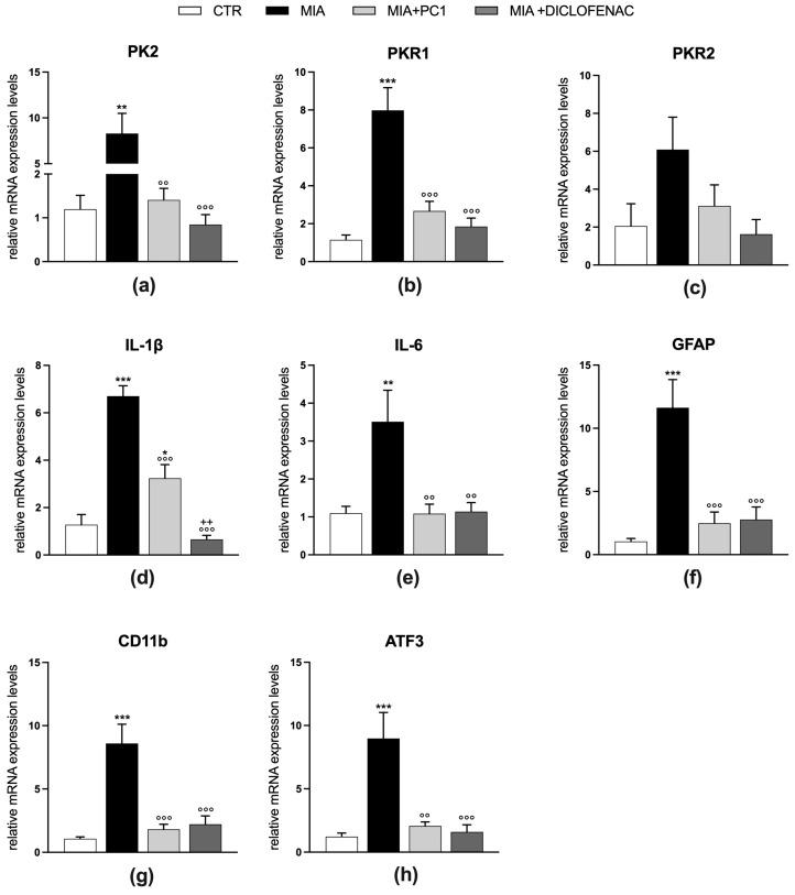 https://cdn.ncbi.nlm.nih.gov/pmc/blobs/014a/10526764/cf4569609788/cells-12-02255-g004.jpg
