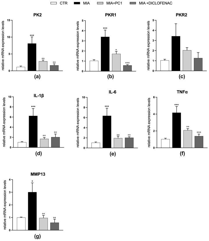 https://cdn.ncbi.nlm.nih.gov/pmc/blobs/014a/10526764/e1d44719d615/cells-12-02255-g003.jpg