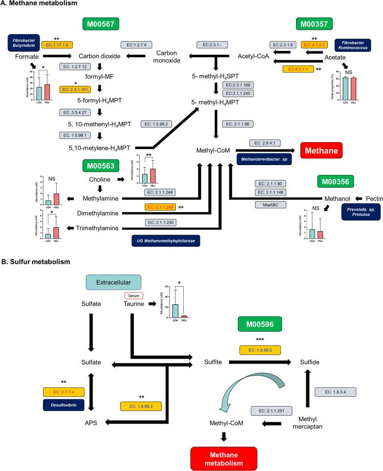 https://cdn.ncbi.nlm.nih.gov/pmc/blobs/014b/11212255/8e0b8f94ee29/42523_2024_325_Fig5_HTML.jpg