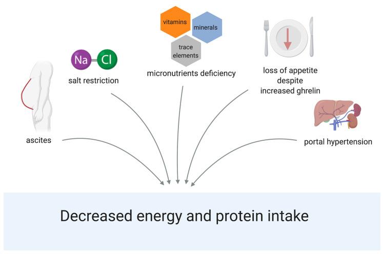 https://cdn.ncbi.nlm.nih.gov/pmc/blobs/014b/7915767/0f91acd2c4c9/nutrients-13-00540-g002.jpg