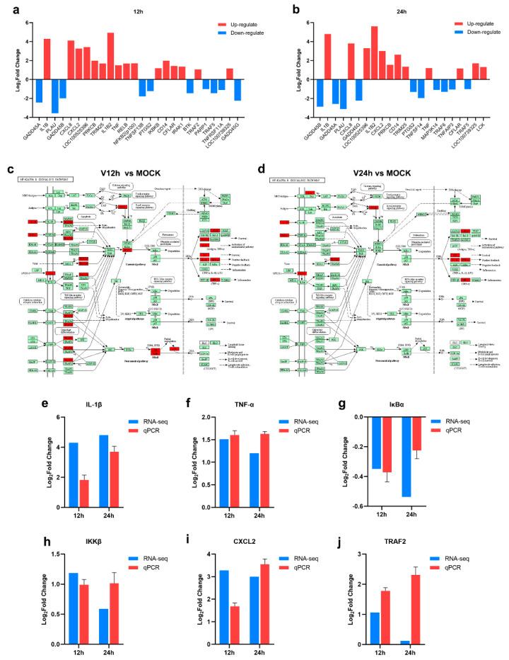 https://cdn.ncbi.nlm.nih.gov/pmc/blobs/014c/9788513/fa01a029914c/pathogens-11-01411-g005.jpg