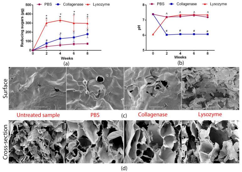 https://cdn.ncbi.nlm.nih.gov/pmc/blobs/014e/7961991/60320781675c/materials-14-01211-g005.jpg