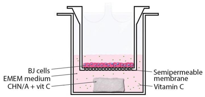 https://cdn.ncbi.nlm.nih.gov/pmc/blobs/014e/7961991/7f6322742dec/materials-14-01211-g001.jpg