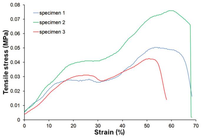 https://cdn.ncbi.nlm.nih.gov/pmc/blobs/014e/7961991/b78b9555ba93/materials-14-01211-g004.jpg