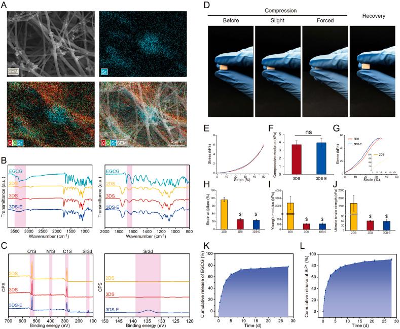 https://cdn.ncbi.nlm.nih.gov/pmc/blobs/014f/11440796/ea1d96368c3e/gr3.jpg