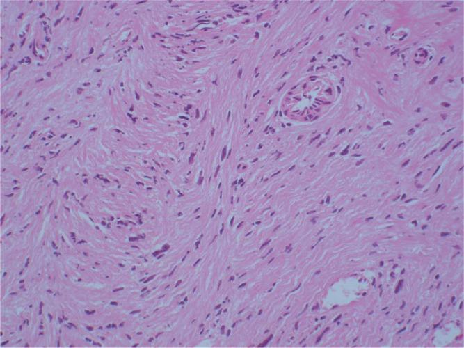 https://cdn.ncbi.nlm.nih.gov/pmc/blobs/014f/4533488/bc82decb5f9e/nmc-54-654-g4.jpg