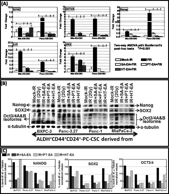 https://cdn.ncbi.nlm.nih.gov/pmc/blobs/0152/4578749/7f7b1ab7ec89/13287_2015_173_Fig5_HTML.jpg
