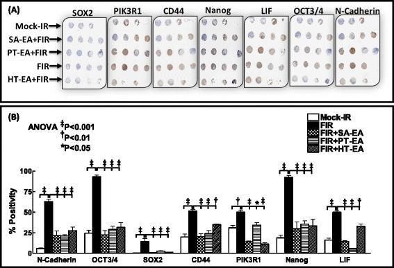 https://cdn.ncbi.nlm.nih.gov/pmc/blobs/0152/4578749/962849b77d49/13287_2015_173_Fig6_HTML.jpg