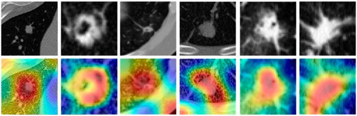 https://cdn.ncbi.nlm.nih.gov/pmc/blobs/0152/8199879/f86768ea7800/cancers-13-02781-g008.jpg