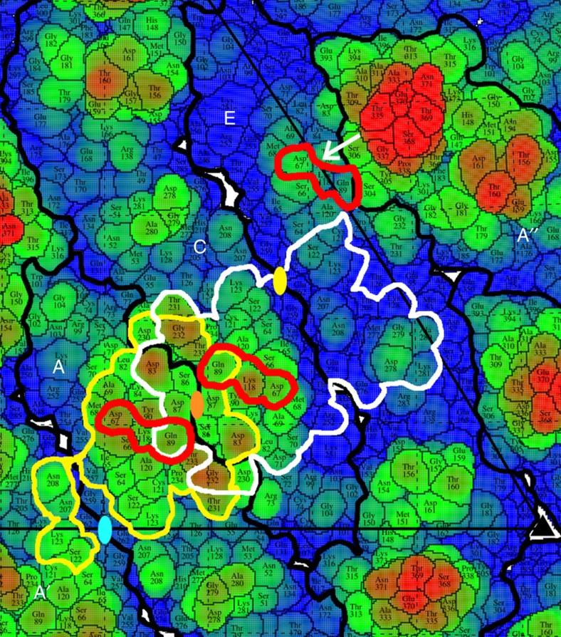 https://cdn.ncbi.nlm.nih.gov/pmc/blobs/0153/5356071/036514faf027/ncomms14722-f3.jpg