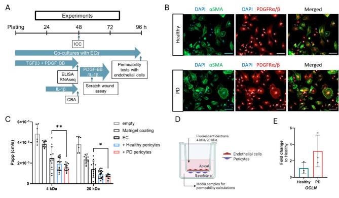 https://cdn.ncbi.nlm.nih.gov/pmc/blobs/0154/11571670/e30080a31fa2/12987_2024_592_Fig3_HTML.jpg