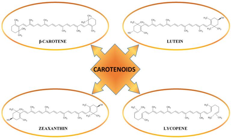 https://cdn.ncbi.nlm.nih.gov/pmc/blobs/0156/12073798/e0968536dd69/molecules-30-01973-g009.jpg