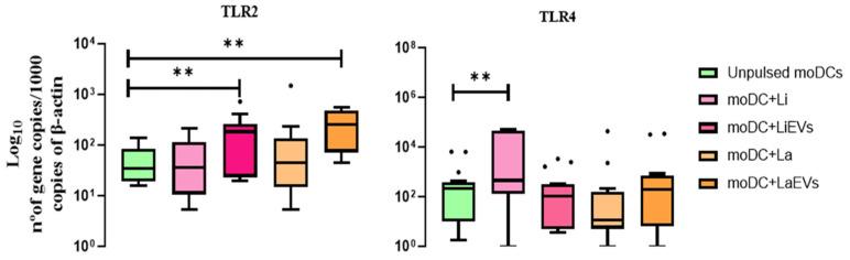 https://cdn.ncbi.nlm.nih.gov/pmc/blobs/015b/10931270/ddf68c35fb51/cells-13-00445-g006.jpg