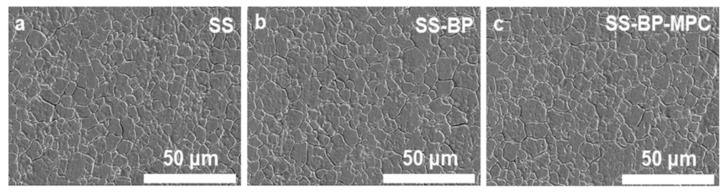https://cdn.ncbi.nlm.nih.gov/pmc/blobs/015e/6669514/0a78e3e26cb0/nanomaterials-09-00939-g002.jpg