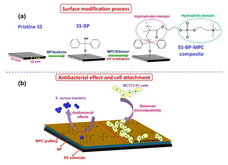https://cdn.ncbi.nlm.nih.gov/pmc/blobs/015e/6669514/391d23560769/nanomaterials-09-00939-g001.jpg