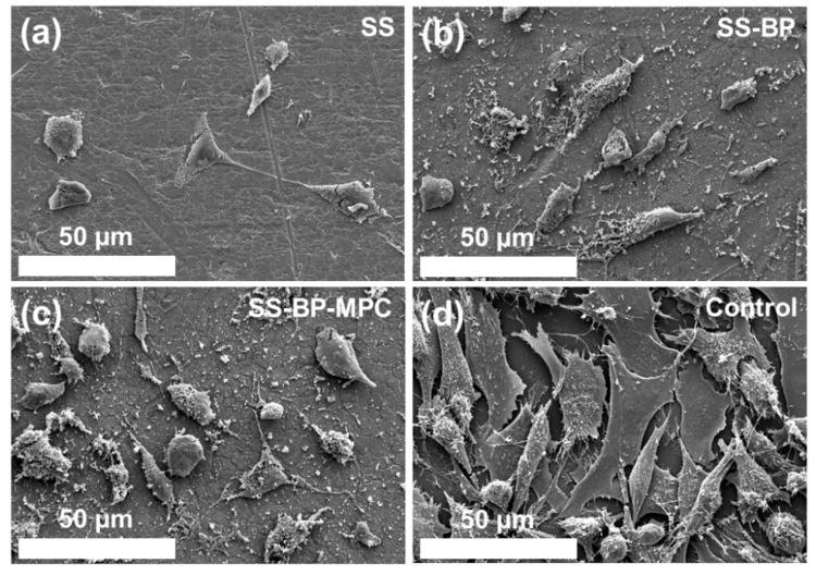 https://cdn.ncbi.nlm.nih.gov/pmc/blobs/015e/6669514/ef019128078a/nanomaterials-09-00939-g010.jpg