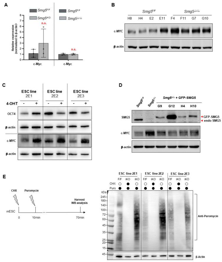 https://cdn.ncbi.nlm.nih.gov/pmc/blobs/0162/11352633/7bdf4c27f97d/biomolecules-14-01023-g006.jpg