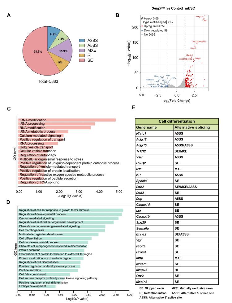 https://cdn.ncbi.nlm.nih.gov/pmc/blobs/0162/11352633/c474af0a903c/biomolecules-14-01023-g007.jpg