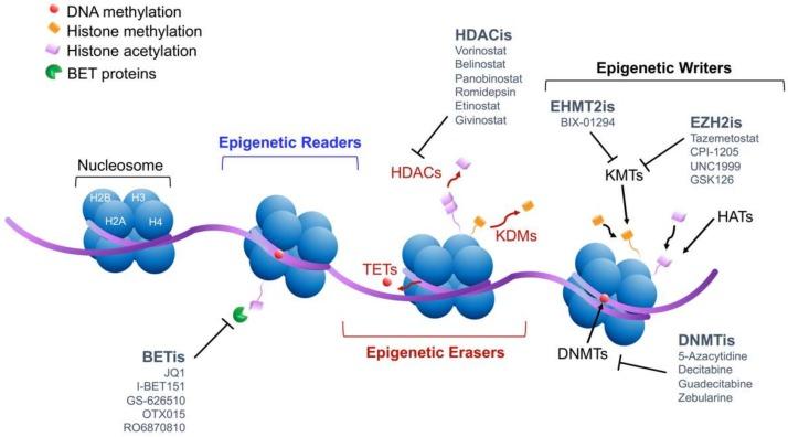 https://cdn.ncbi.nlm.nih.gov/pmc/blobs/0164/7140038/8189a464ac86/cancers-12-00682-g001.jpg