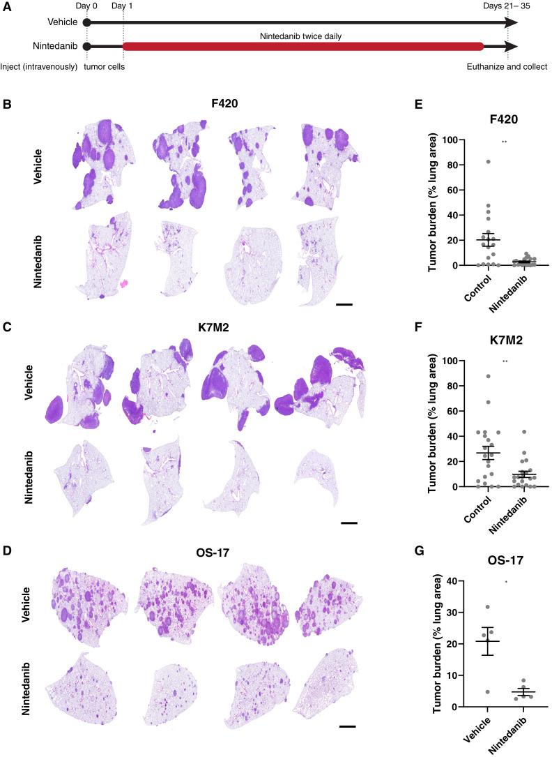 https://cdn.ncbi.nlm.nih.gov/pmc/blobs/0165/11739783/a29b64ac1d9e/ccr-24-0049_f5.jpg