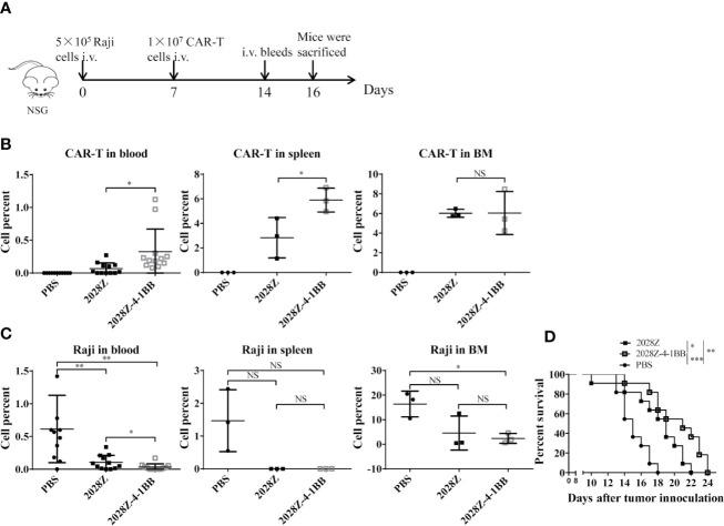 https://cdn.ncbi.nlm.nih.gov/pmc/blobs/0166/7691374/869b0d740f94/fimmu-11-539654-g005.jpg