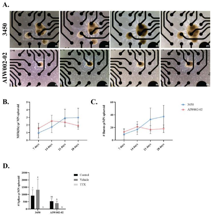 https://cdn.ncbi.nlm.nih.gov/pmc/blobs/0167/9954647/279ab6551624/cells-12-00545-g005.jpg