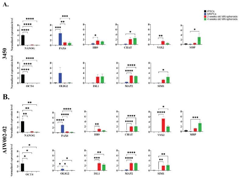 https://cdn.ncbi.nlm.nih.gov/pmc/blobs/0167/9954647/2ca74103aff1/cells-12-00545-g003.jpg