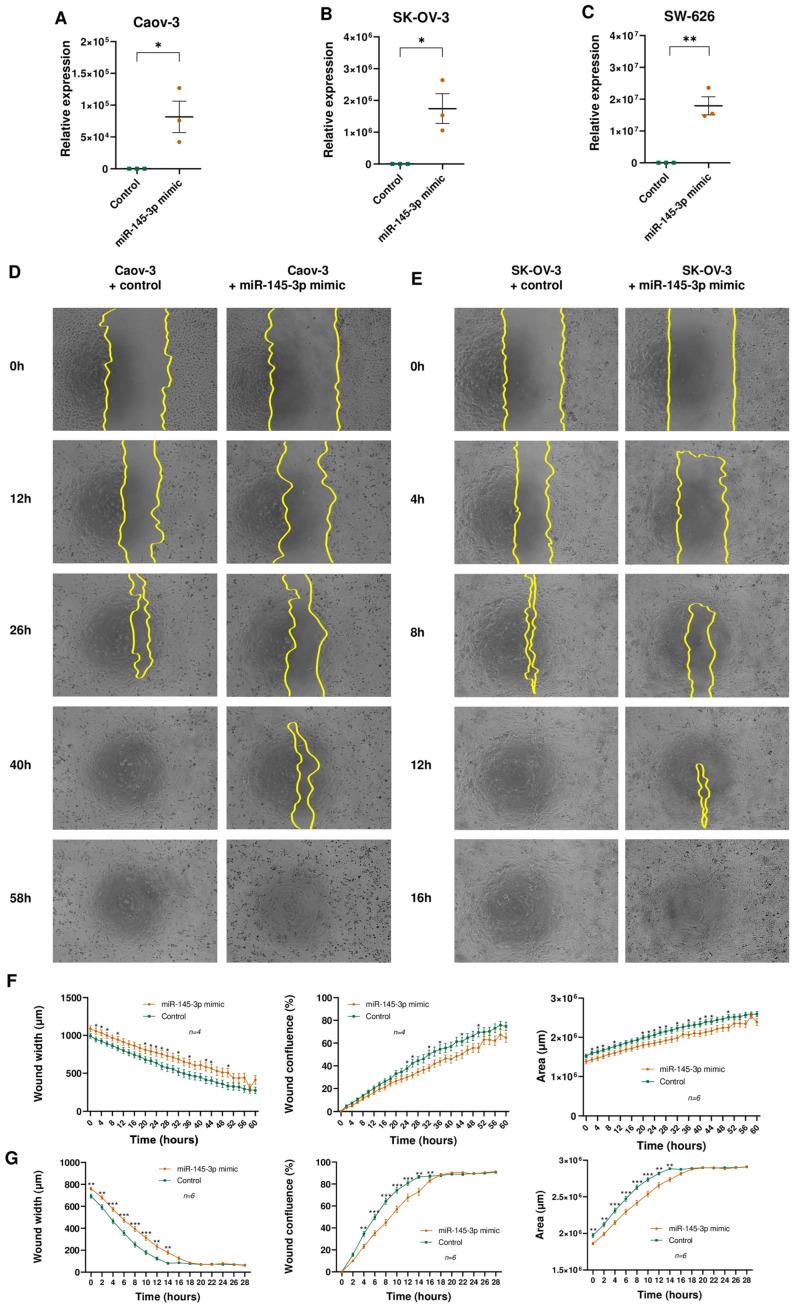 https://cdn.ncbi.nlm.nih.gov/pmc/blobs/0169/11592657/00213775cde2/cells-13-01904-g003.jpg