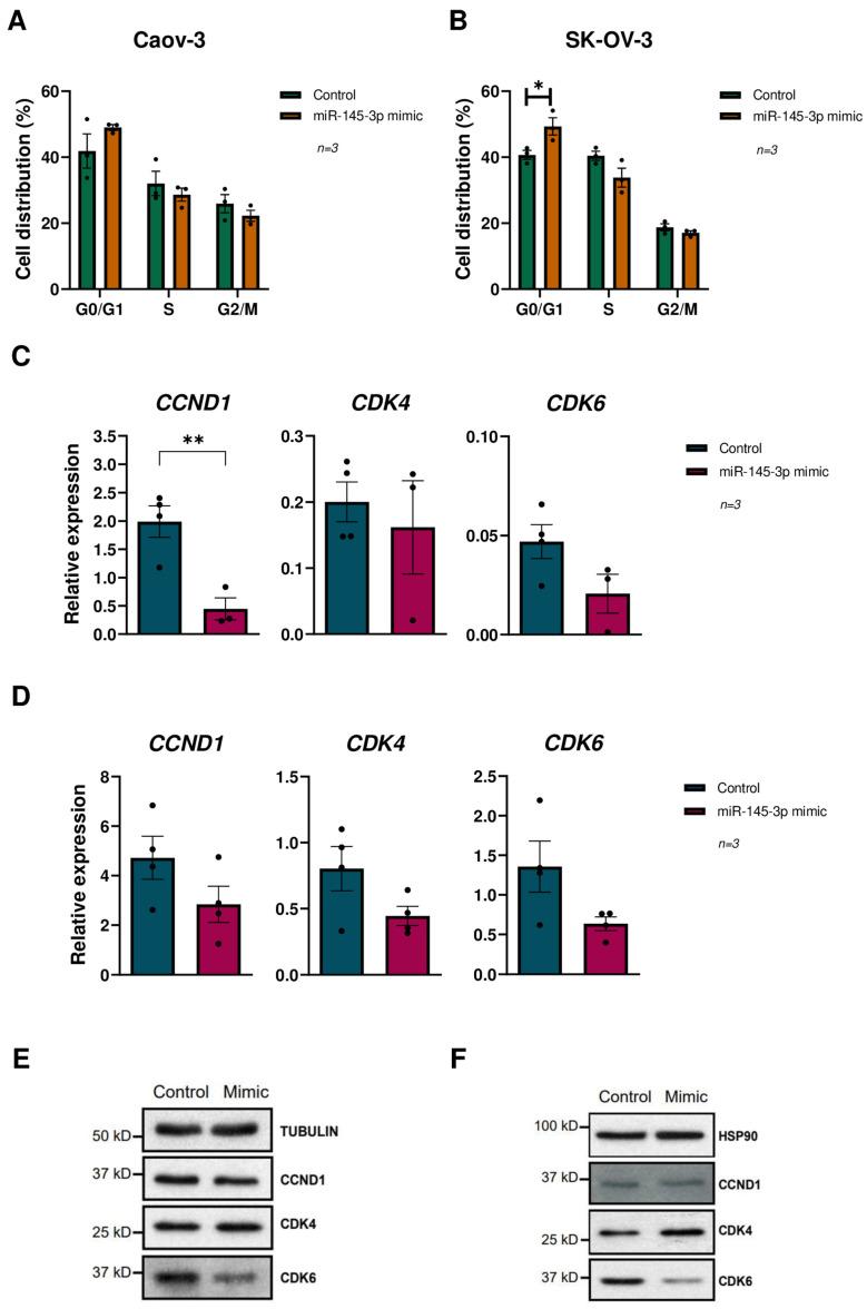 https://cdn.ncbi.nlm.nih.gov/pmc/blobs/0169/11592657/f81fc0e2cdd7/cells-13-01904-g004.jpg