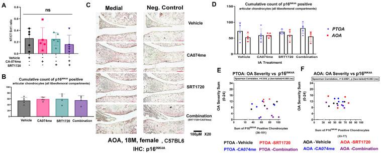 https://cdn.ncbi.nlm.nih.gov/pmc/blobs/016c/10813022/6d01bc0e4bd6/biomolecules-14-00081-g005.jpg