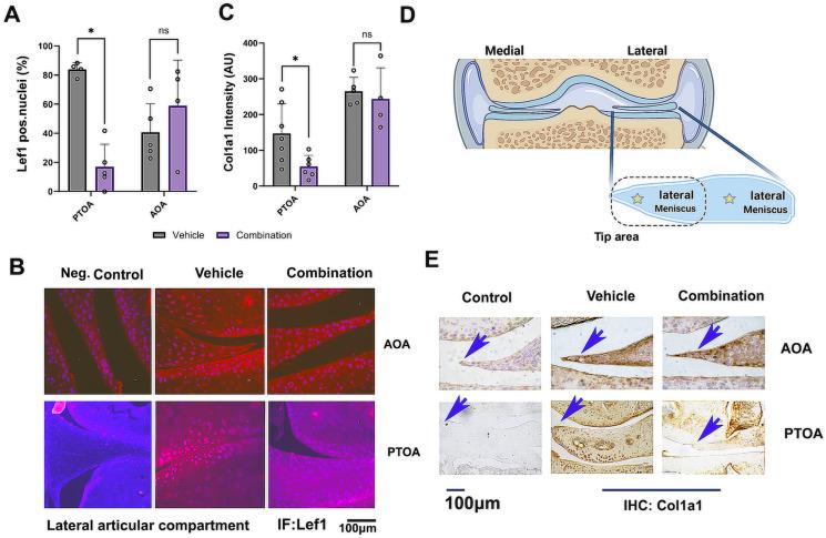 https://cdn.ncbi.nlm.nih.gov/pmc/blobs/016c/10813022/7d31d9f23d9b/biomolecules-14-00081-g007.jpg
