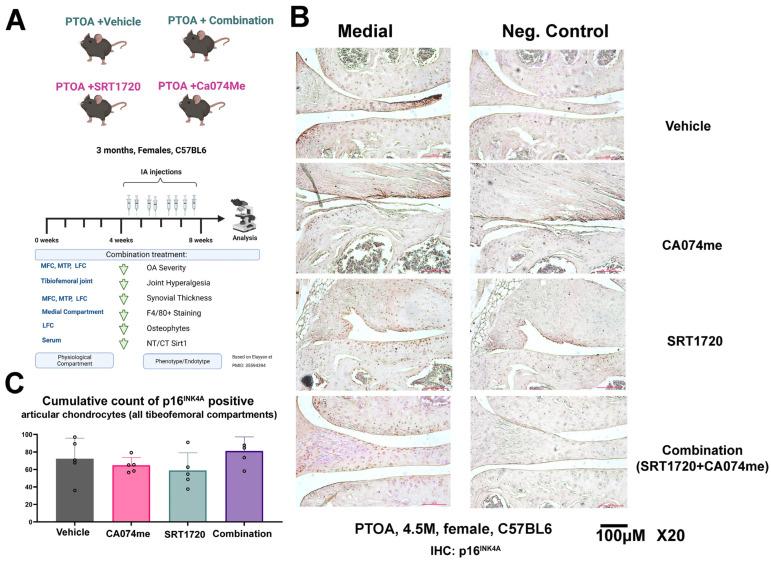 https://cdn.ncbi.nlm.nih.gov/pmc/blobs/016c/10813022/86b2b6b03b4d/biomolecules-14-00081-g001.jpg